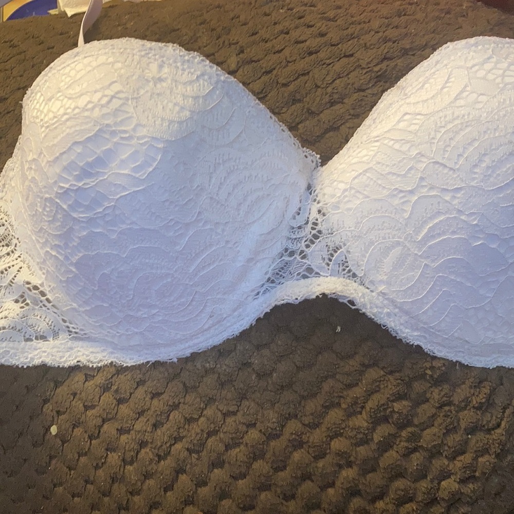 FINAL MARKDOWN Daisy Fuentes Lacy underwire bra 36d